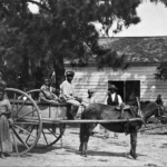 A Group Of Slaves At The Cassina Point Plantation Of James Hopkinson In South Carolina.