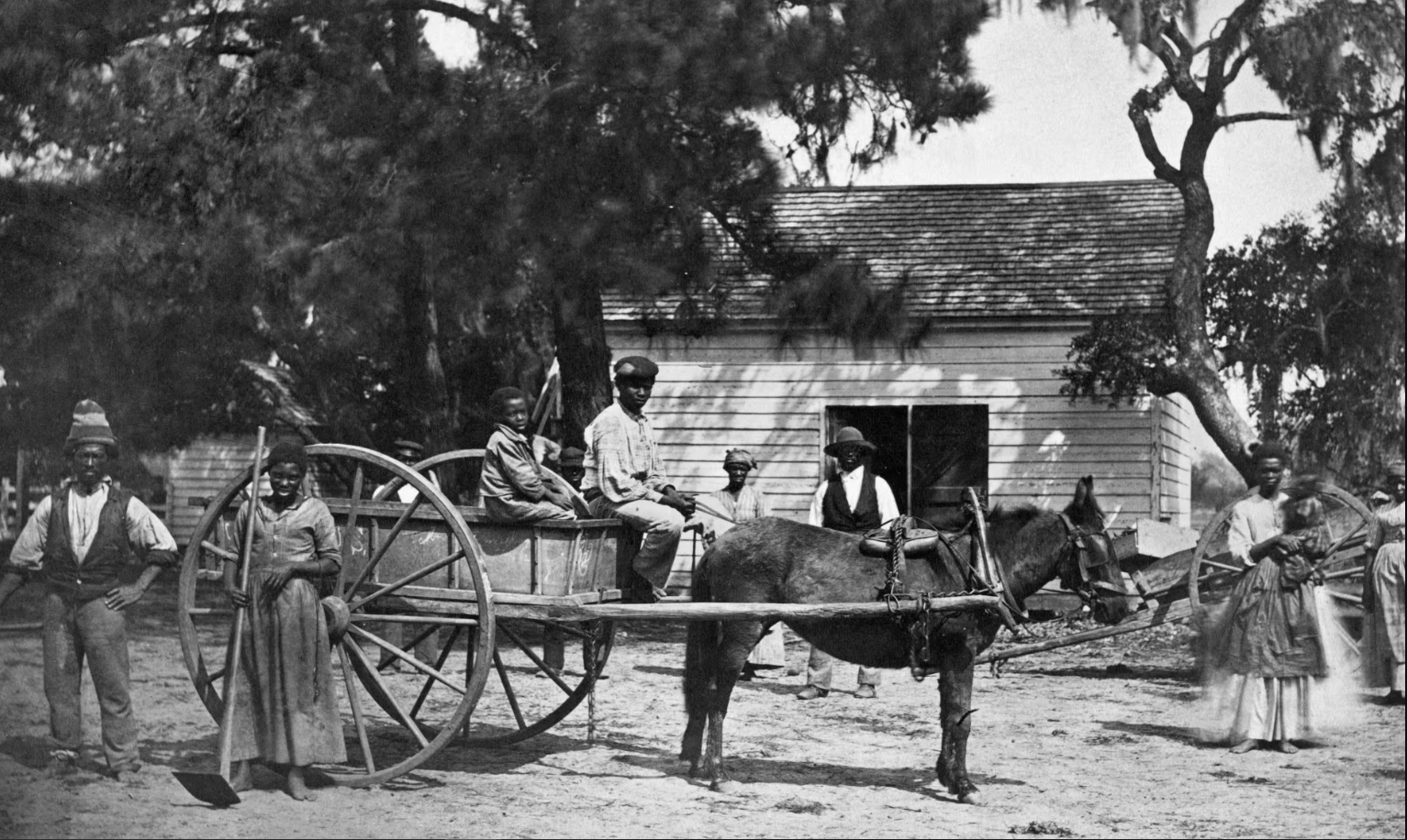 A group of slaves at the Cassina Point Plantation of James Hopkinson in South Carolina.